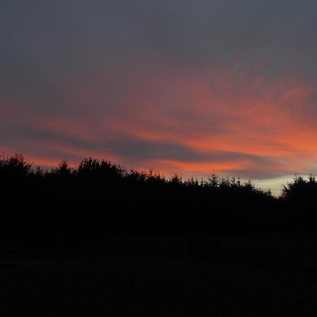 Forest View Bed and Breakfast Fraserburgh Exterior foto